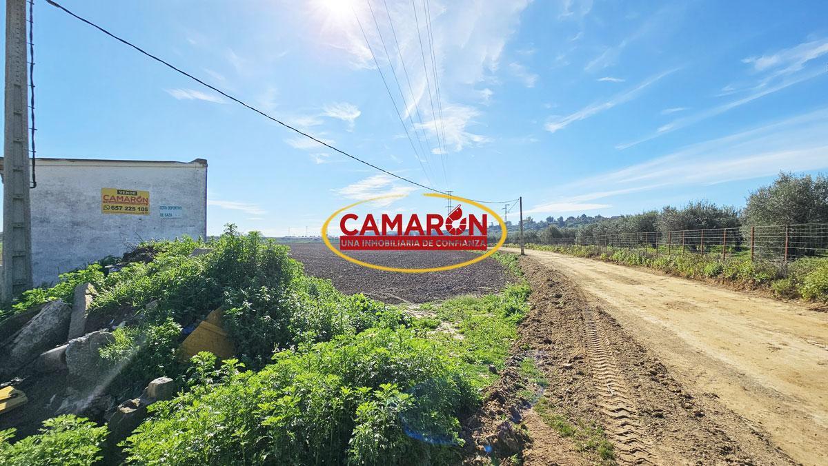 Terreno en venta en Palomares del rio de 55713 m2 REF:03863