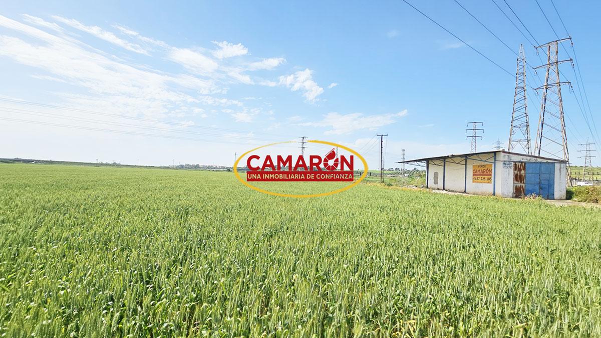 Terreno en venta en Palomares del Rio de 137900 m2 REF:03864