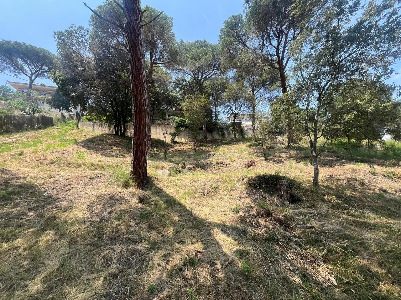 terrenos en argentona · ginesteres---argentona 64900€