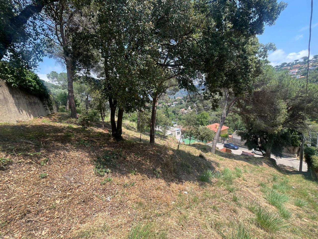 terrenos en argentona · ginesteres---argentona 64900€