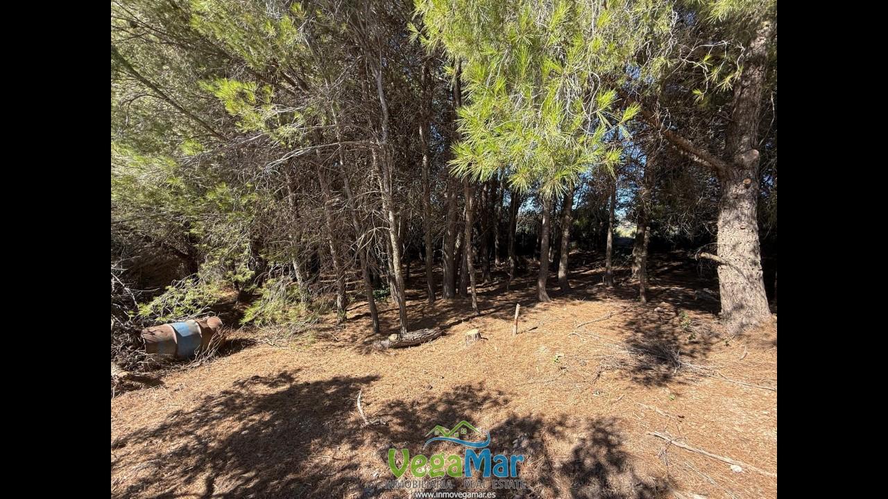 Terreno en venta en Granada