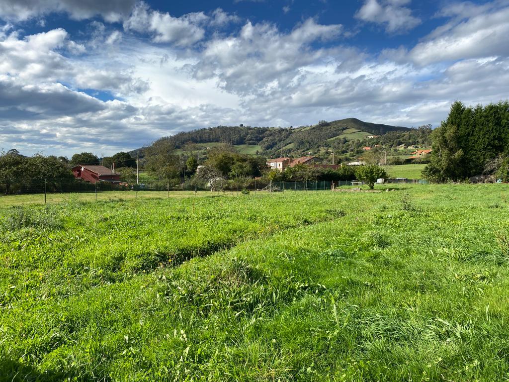 Terreno en venta en Asturias