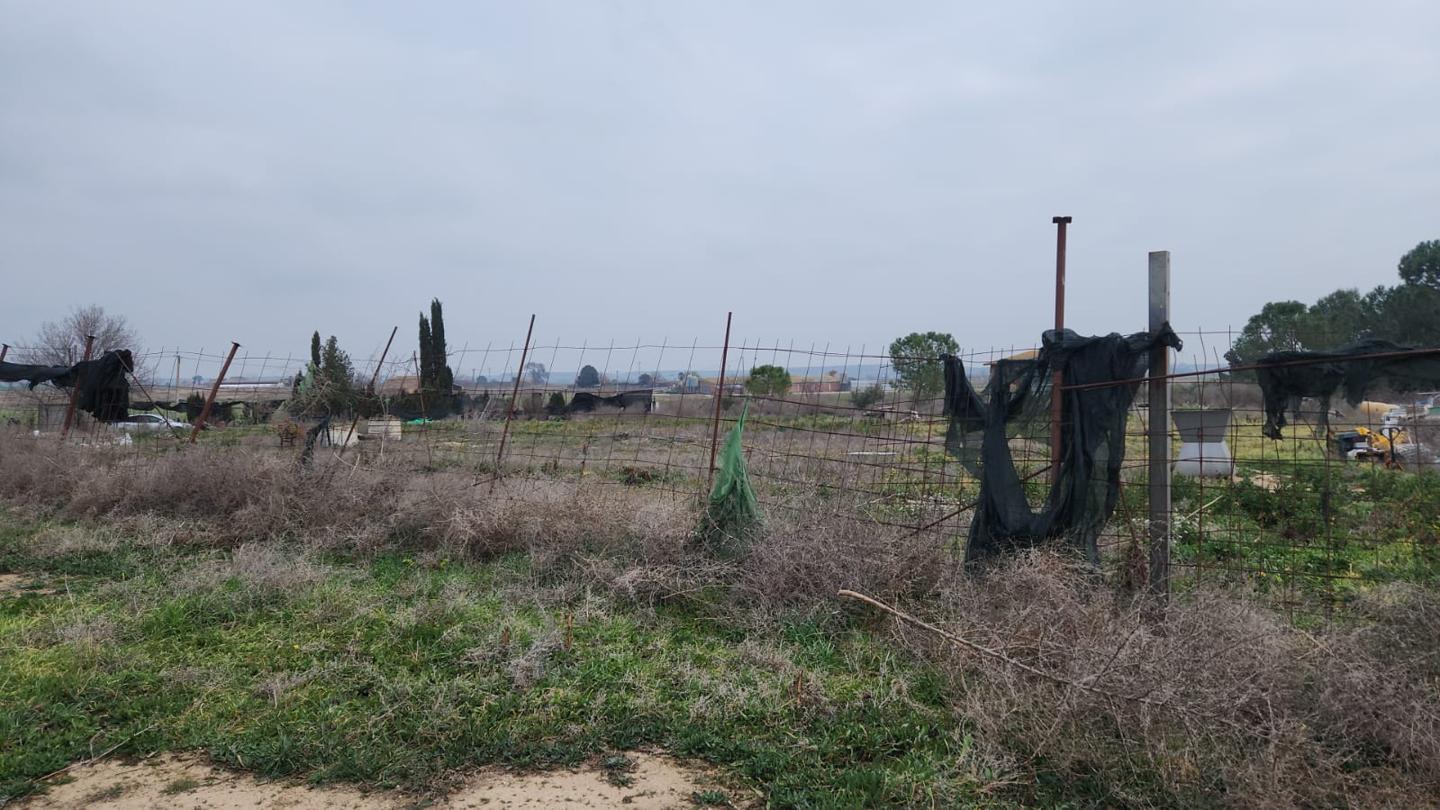 Terreno en venta en Lleida