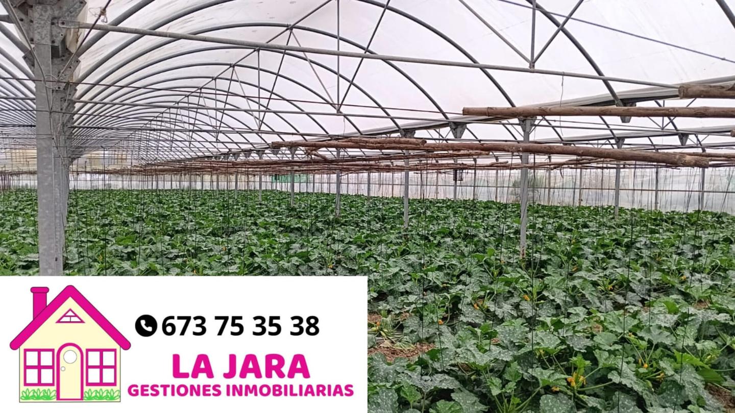 Terreno en venta en Cádiz