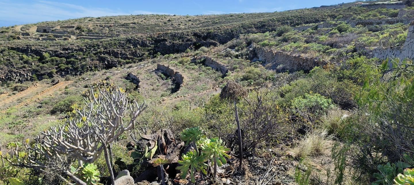 Terreno en Arrastradero de Abajo, Guimar, Santa Cruz de Tenerife de 4681 m2