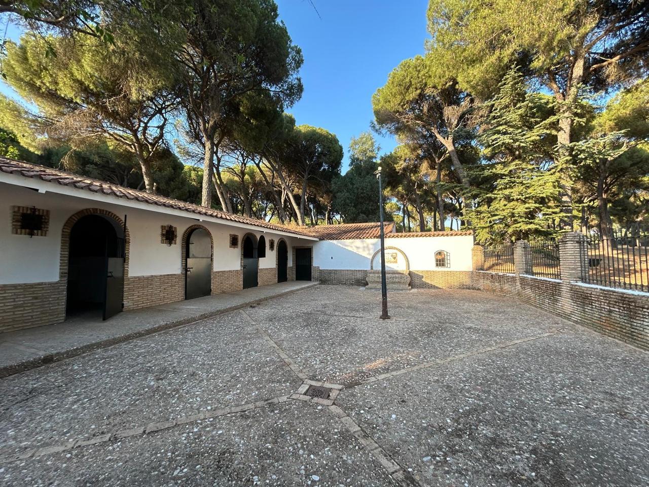 Land in Camino Campo Bajo, Cerro Muriano, Córdoba of 16000 m2