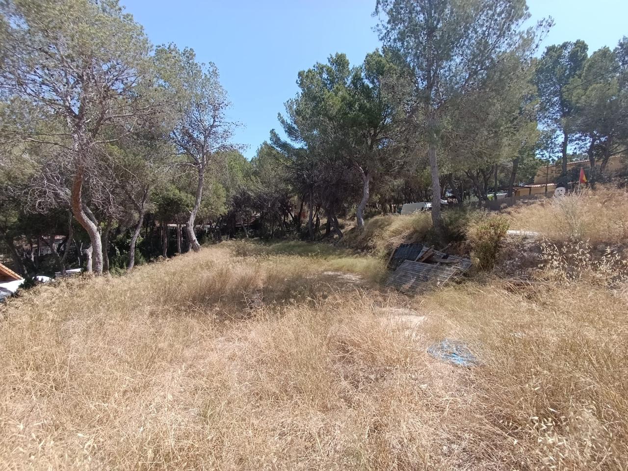 Land in Urbanització Terol, Alicante of 800 m2
