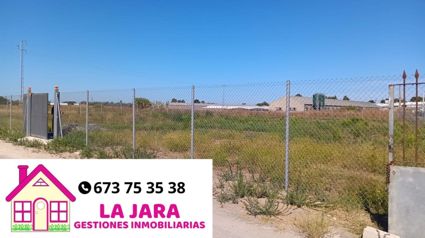 Terreno en venta en Cádiz