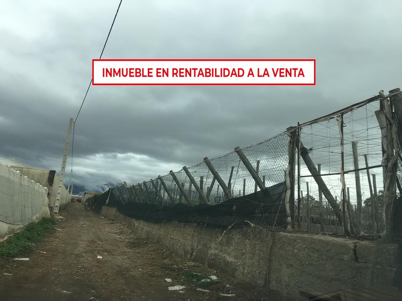 foto de TERRENO RÚSTICO EN ALMERÍA