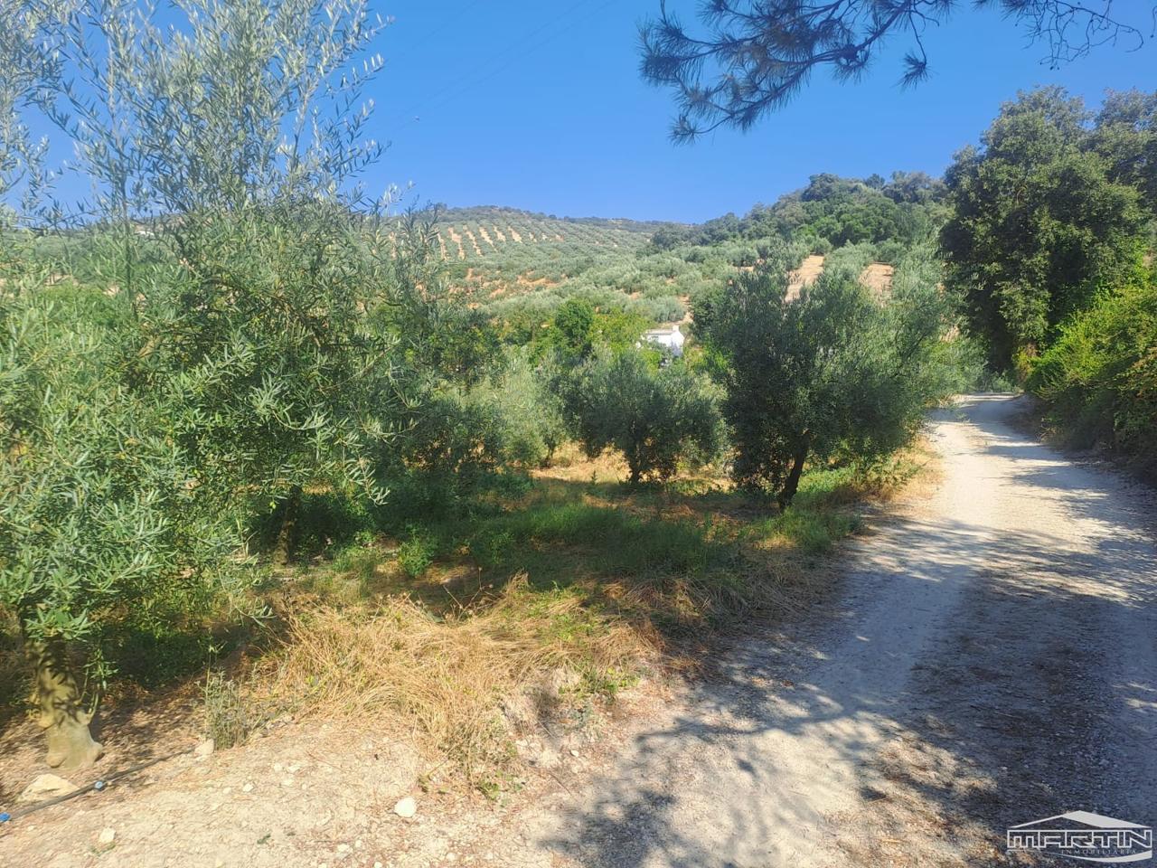 Casa / chalet en Huerta de Jarcas, Pol.23, Par.78-79, Cabra, Córdoba de 330 m2