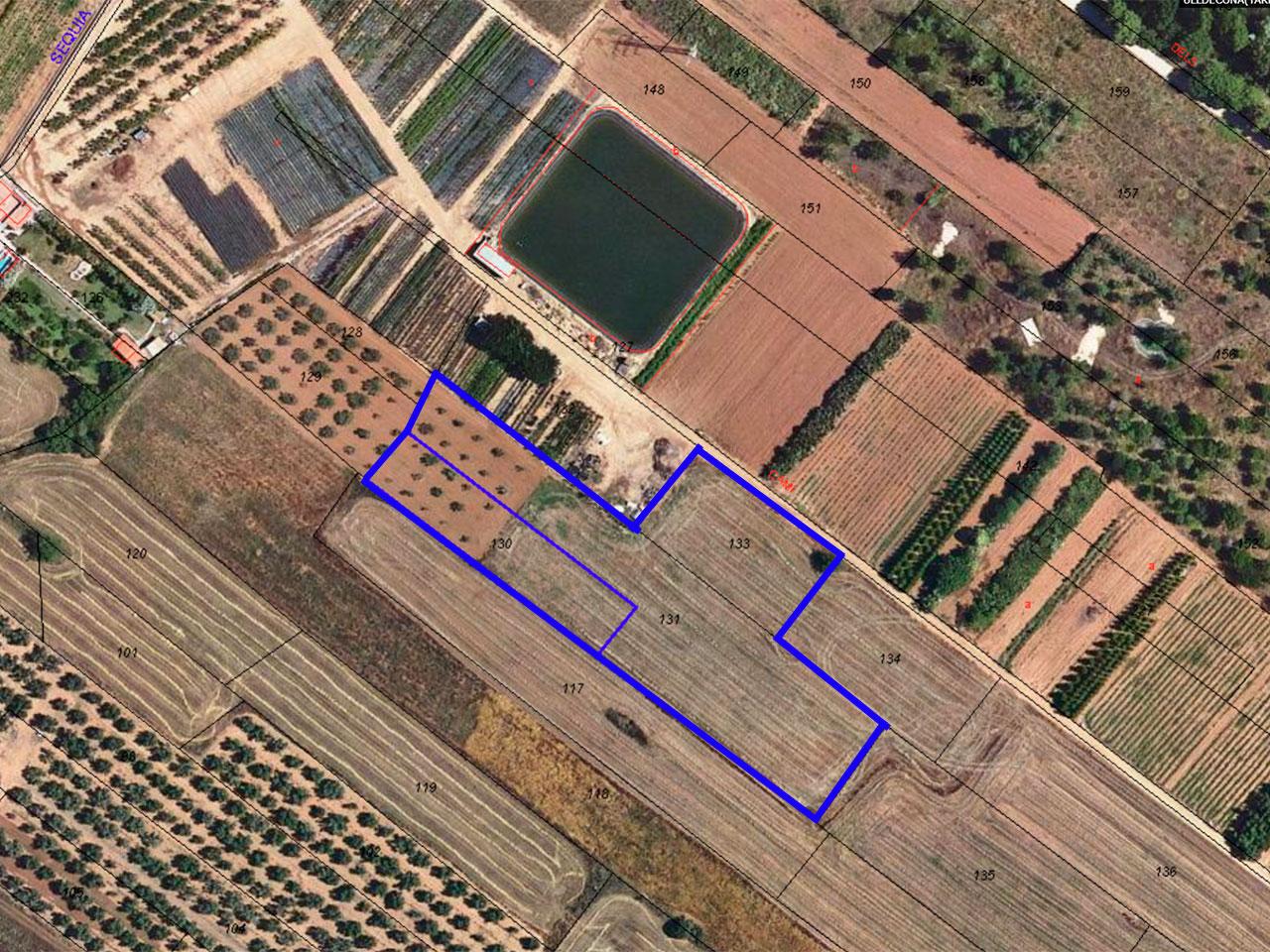 Land in Llacuna, Ulldecona, Tarragona of 8304 m2
