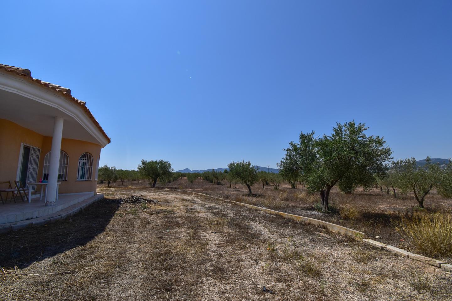 House picture 2