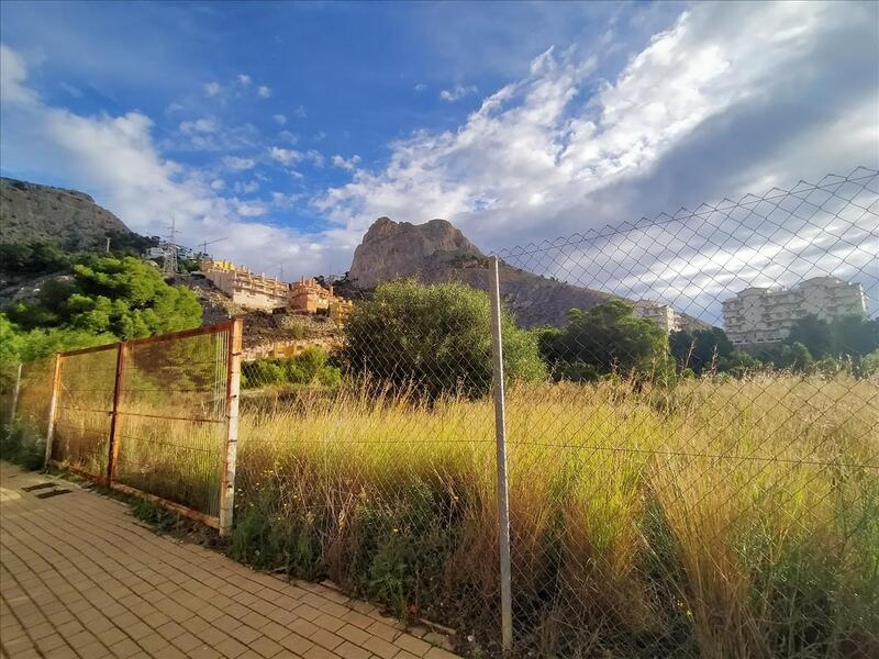 Terreno en Carrer Freu, Pueblo Mascarat, Alicante de 3026 m2