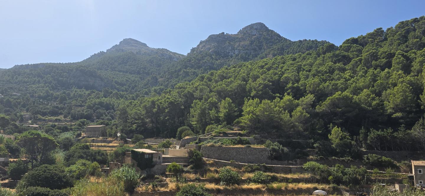 Casa con Safareig junto a la Cala Estellencs — Estellencs — Foto 12