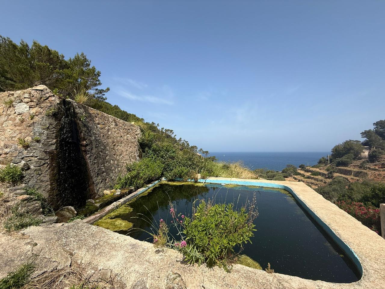 Casa con Safareig junto a la Cala Estellencs — Estellencs — Foto 4