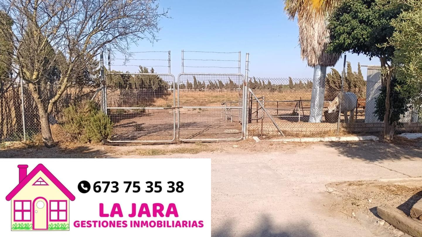 Terreno en venta en Cádiz