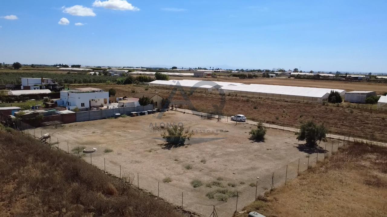 Terreno en Los Palacios y Villafranca, Sevilla de 900 m2