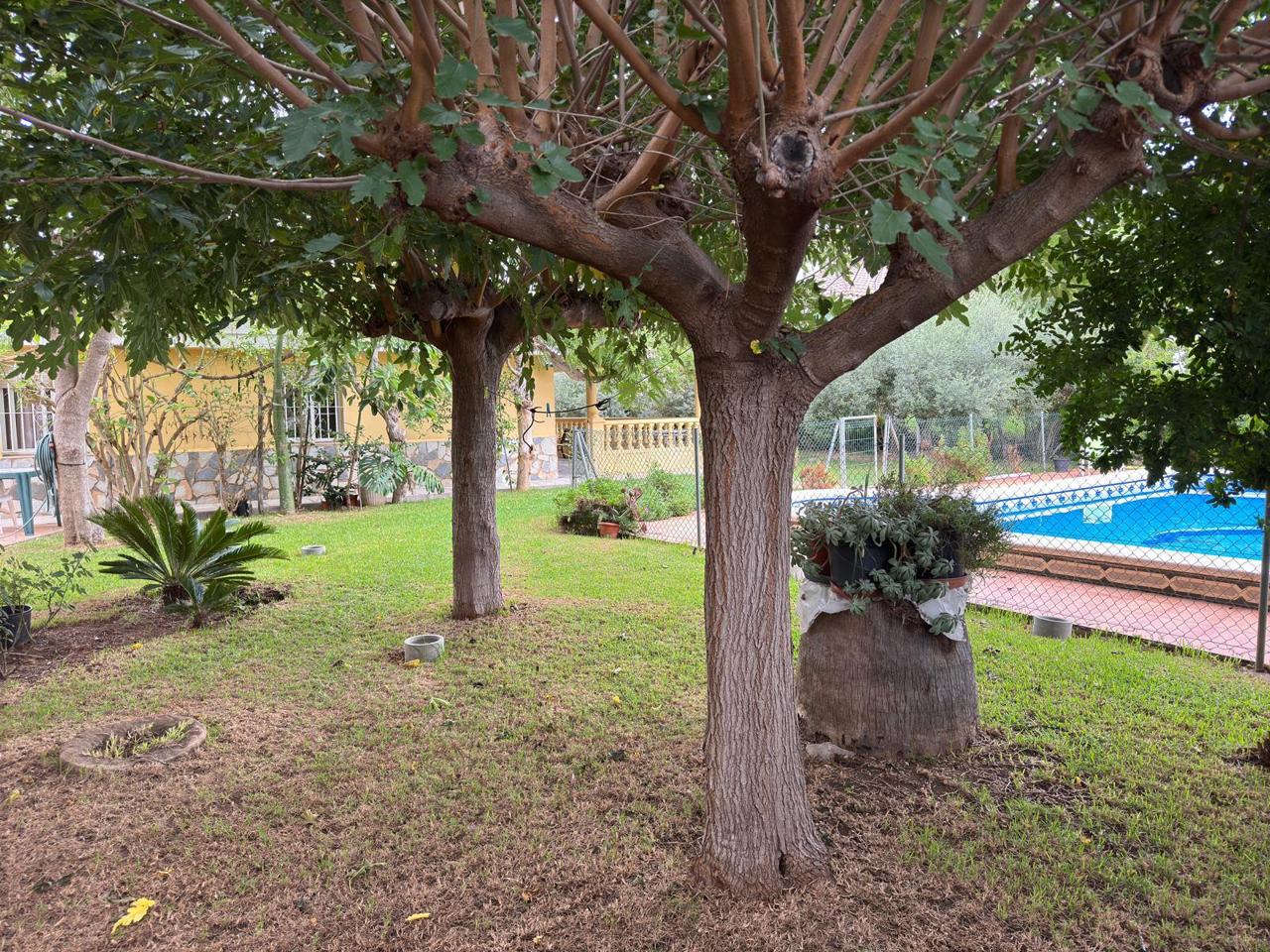 Casa / chalet en Camí del Serradal, Castellon, Castelló de 350 m2