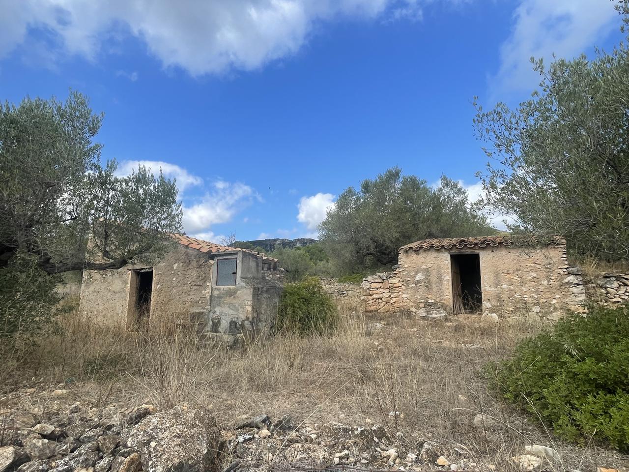 Terreno en PLANES, L'AMETLLA DE MAR, TARRAGONA de 17000 m2