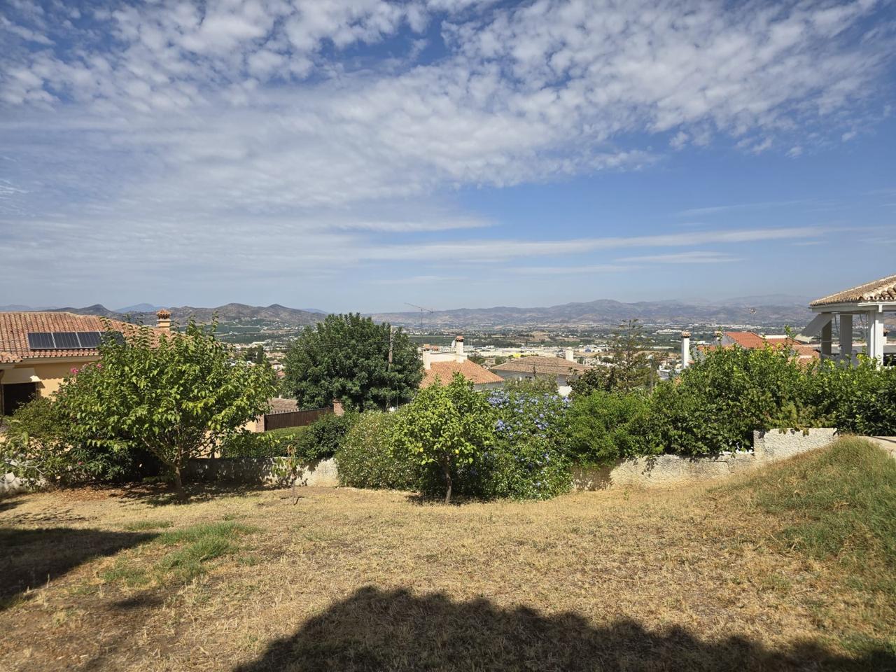 Galería 37