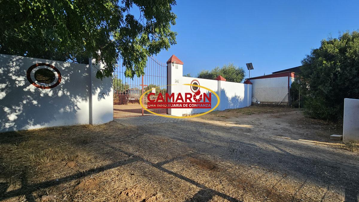 Terreno en venta en Mairena del Aljarafe de 3600 m2 REF:04080