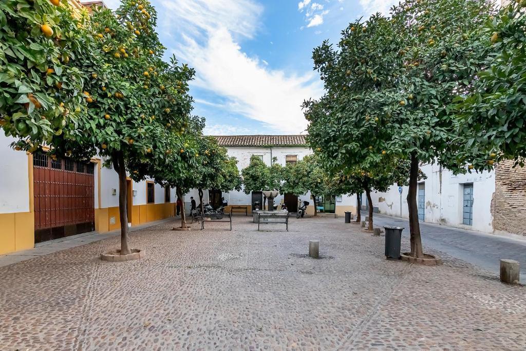 Piso en Calle Regina, Córdoba, Córdoba de 63 m2