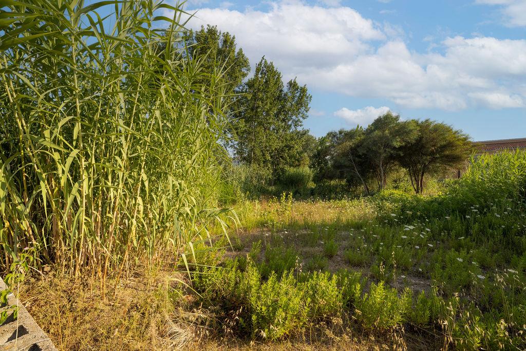 Terreno en venta en Valencia