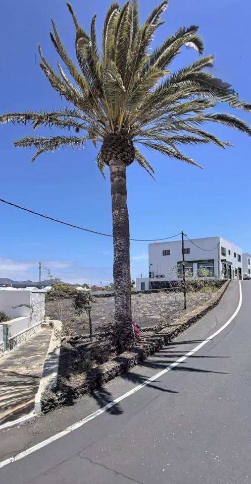 Terreno en vistas de Yaiza, Yaiza, Las Palmas de 1100 m2