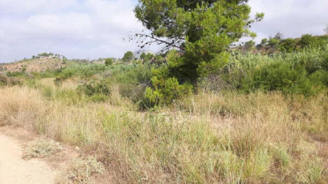 Terreno en venta en Valencia