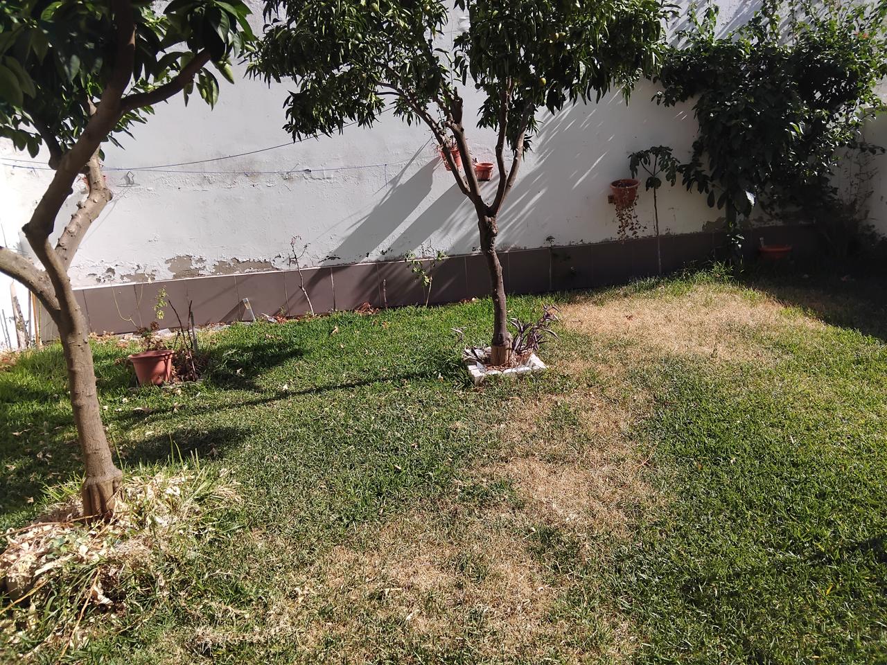 Casa / chalet en Calle Eugenio Mirón Monroy, Plasencia, Cáceres de 241 m2 Casa / chalet en Calle Eugenio Mirón Monroy, Plasencia, Cáceres de 241 m2