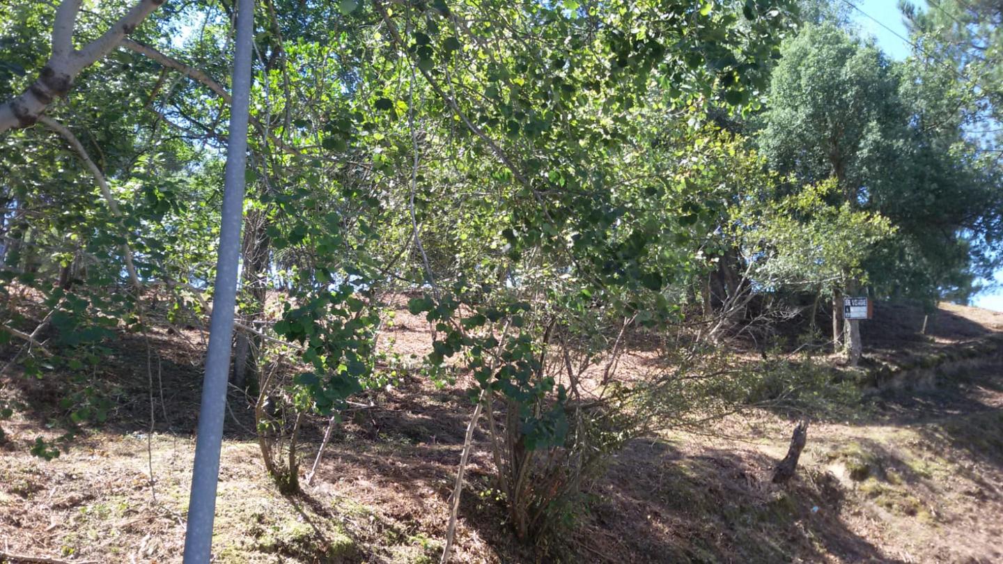 terreno en vidreres · vidreres 77000€