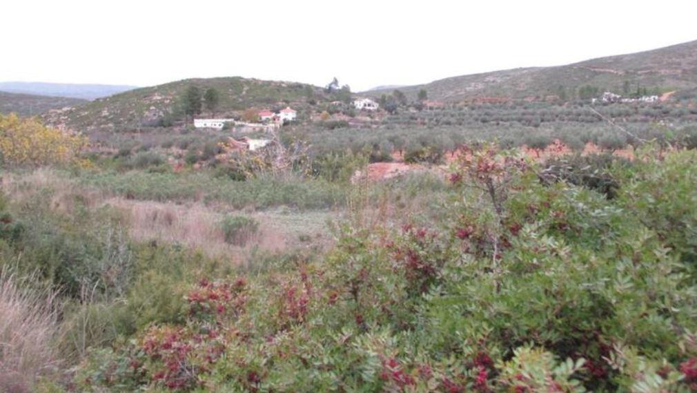 Terreno en venta en Valencia