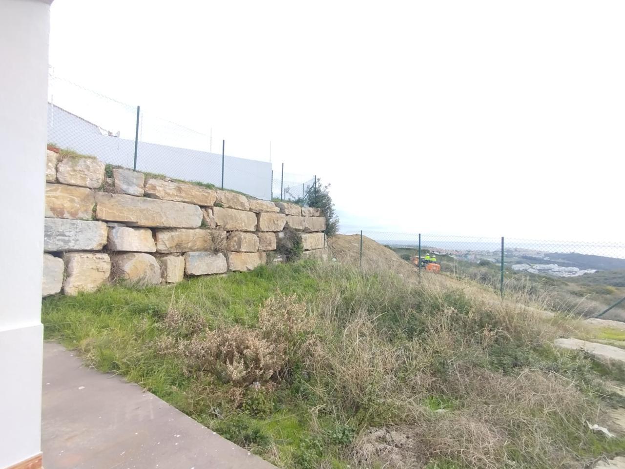 Galería 11