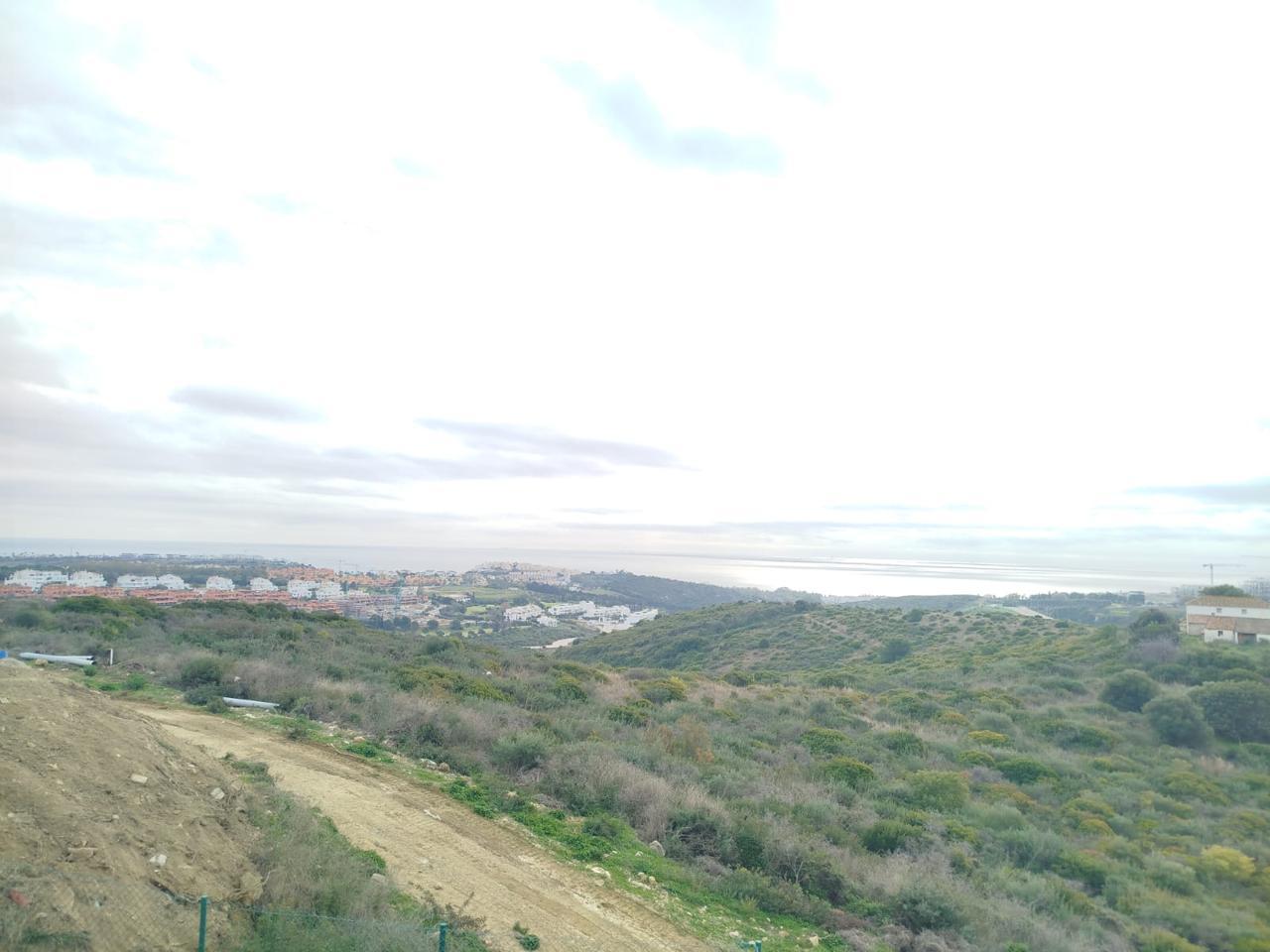 Galería 10