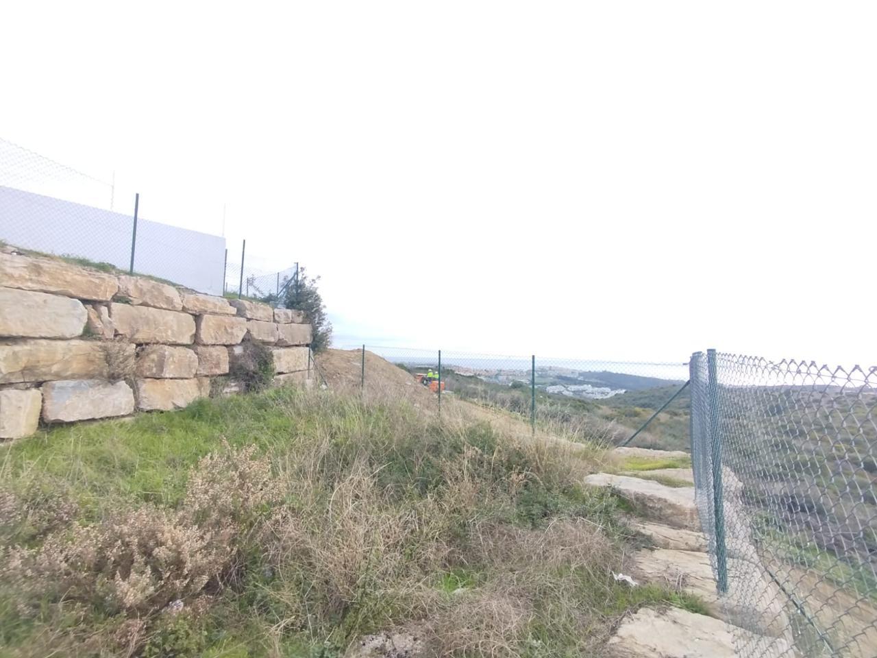 Galería 12
