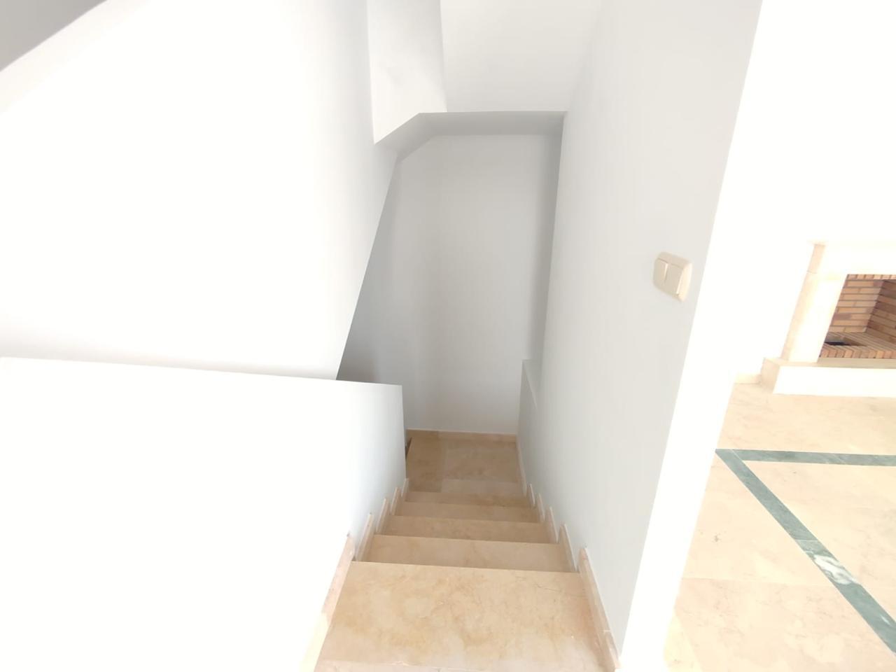 Galería 24