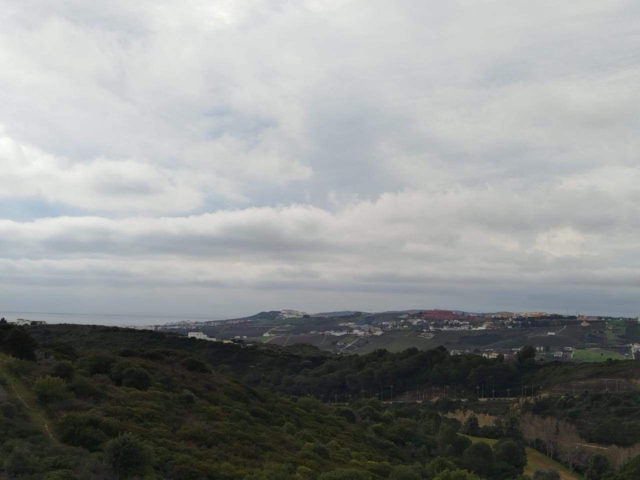 Galería 22