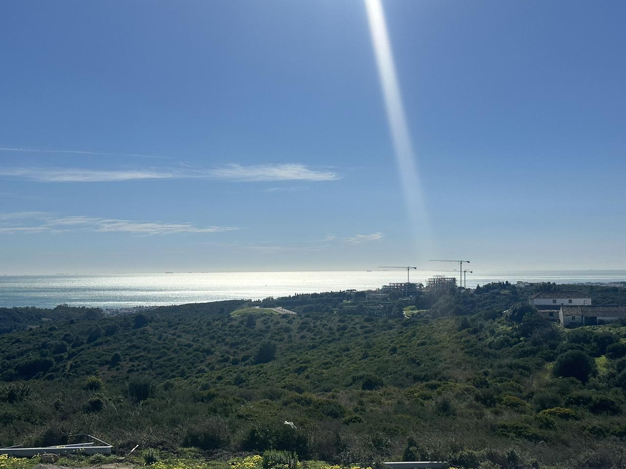 Galería 29