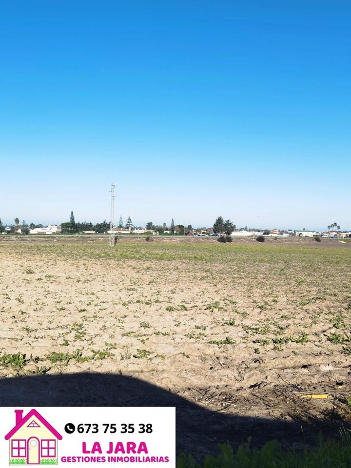 Terreno en venta en Cádiz