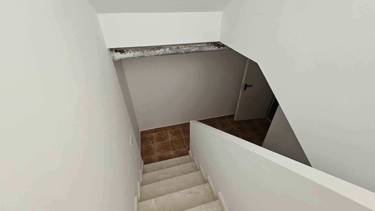 Galería 12