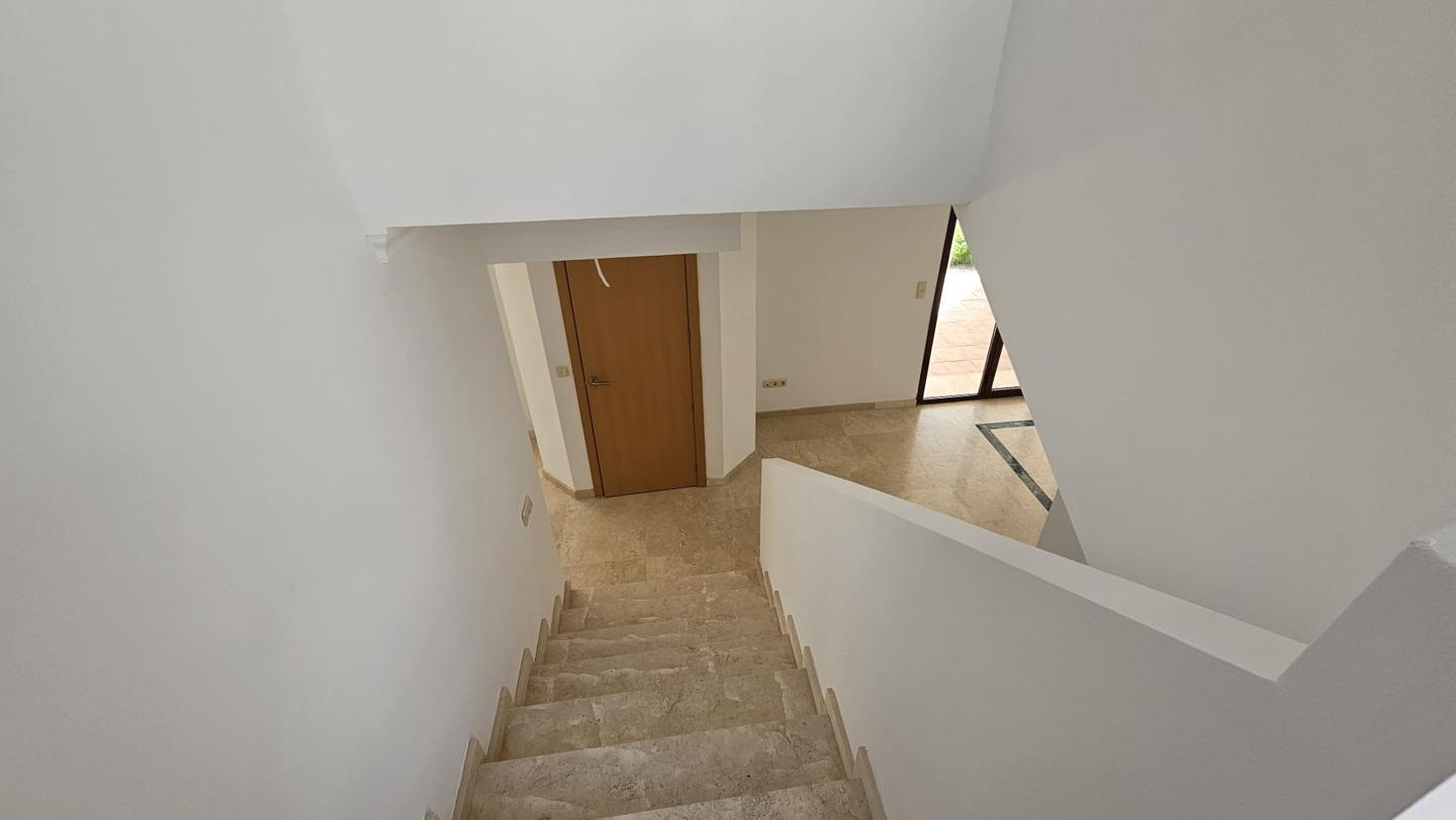 Galería 23