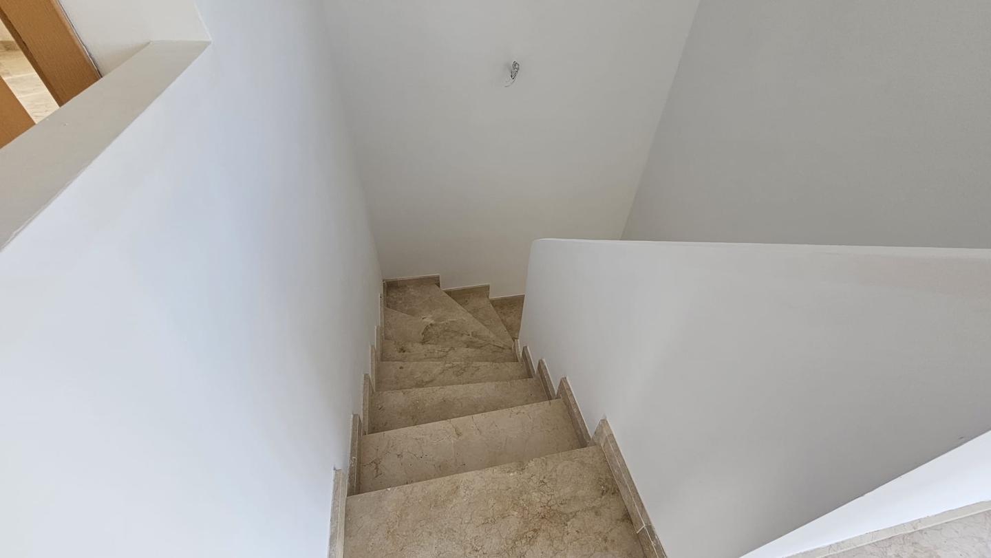 Galería 24