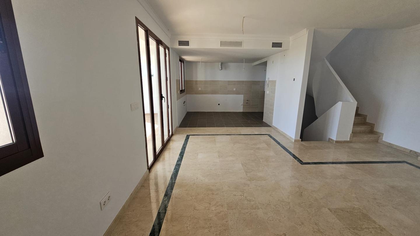 Galería 20