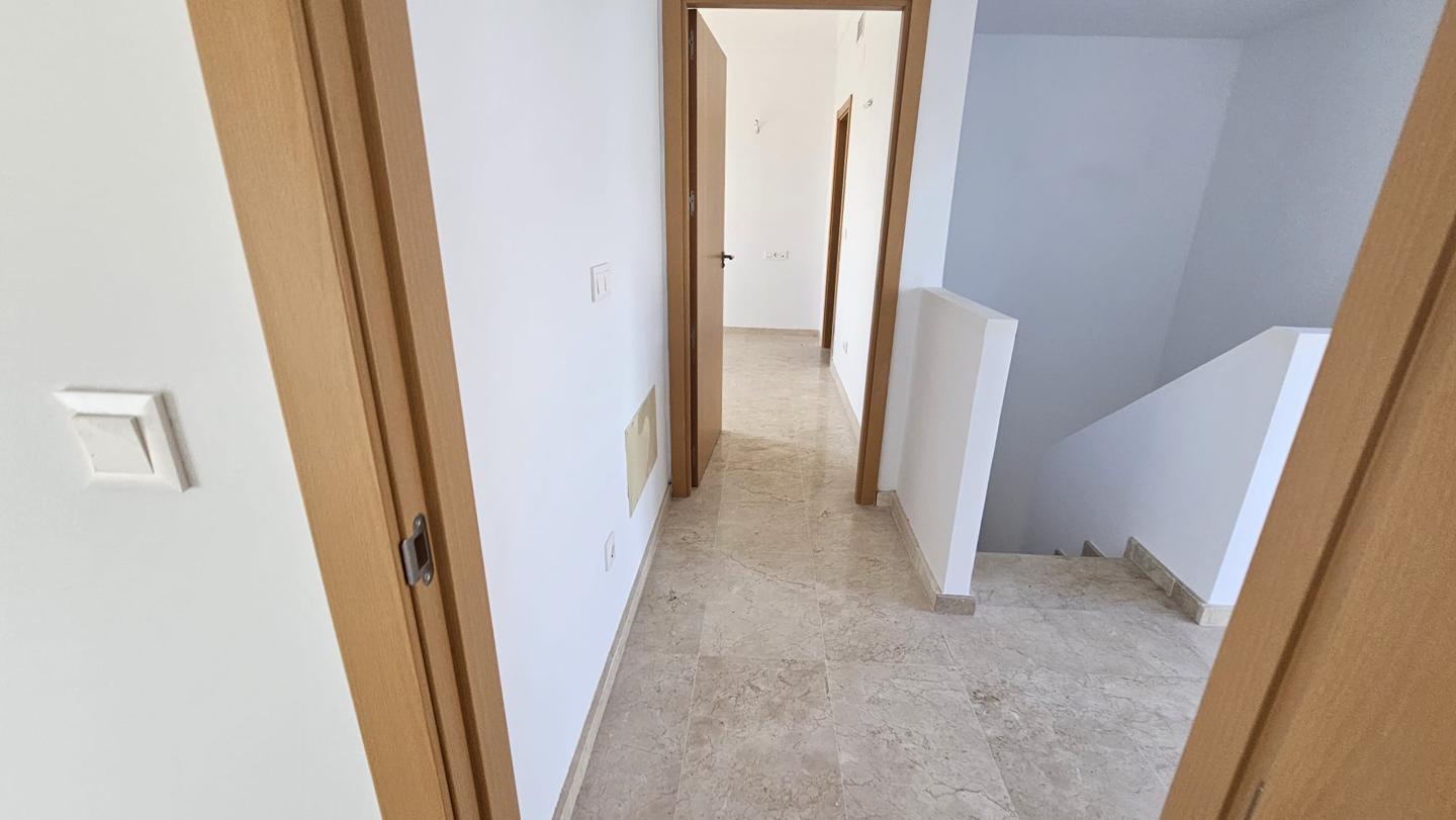 Galería 31