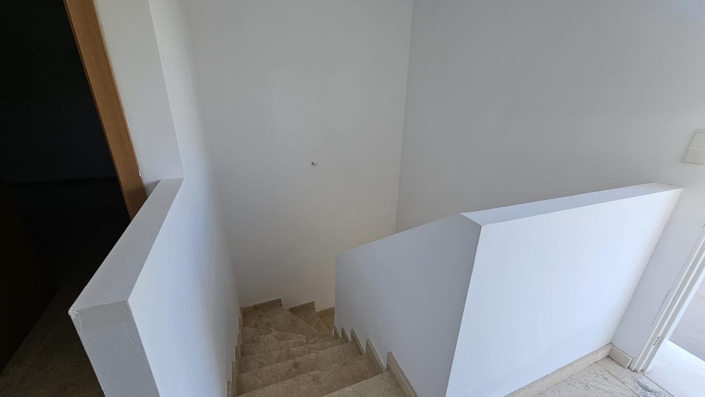 Galería 31