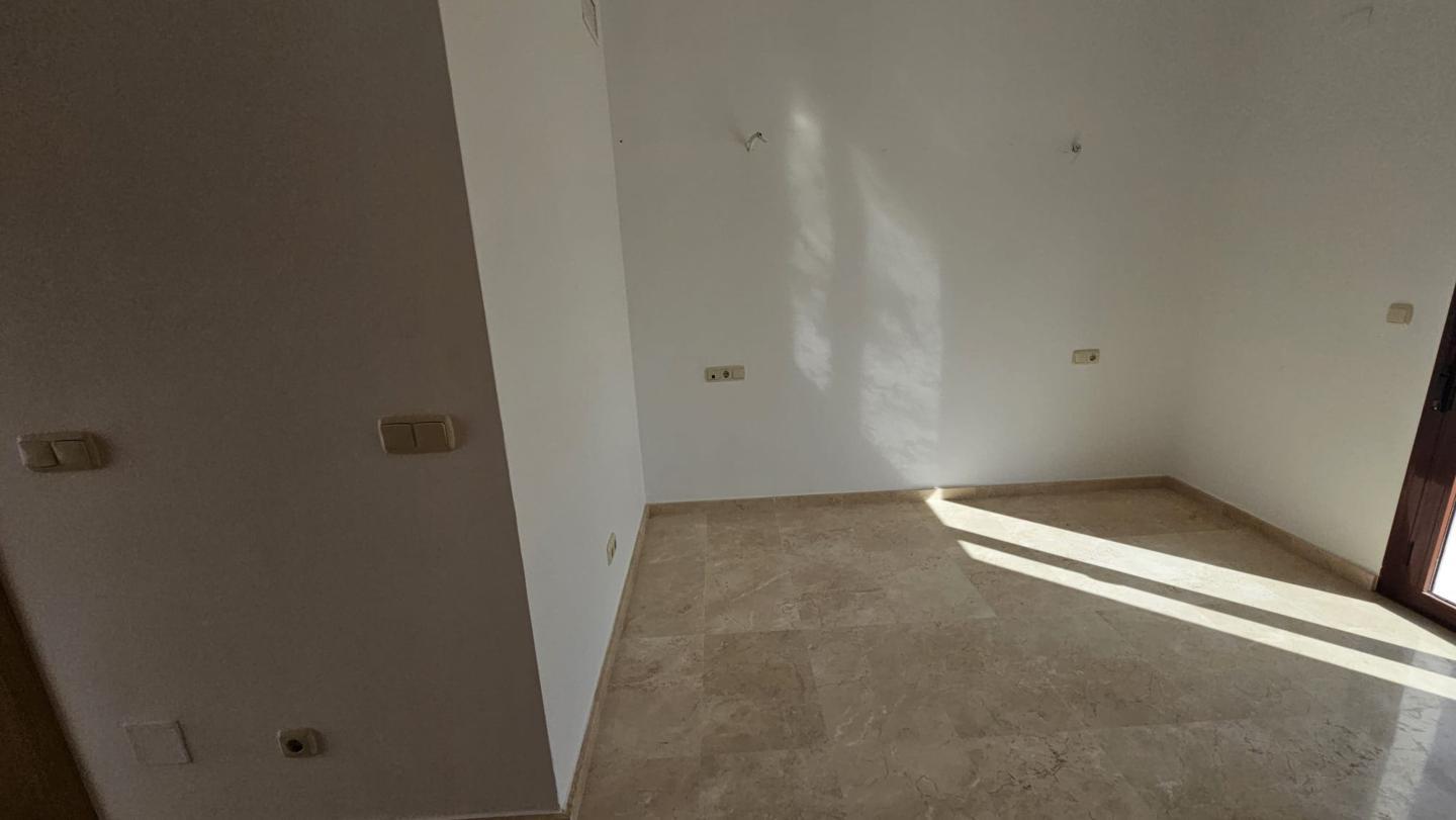 Galería 31