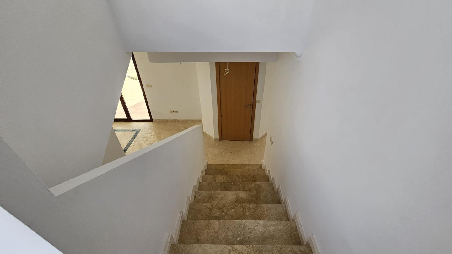 Galería 21