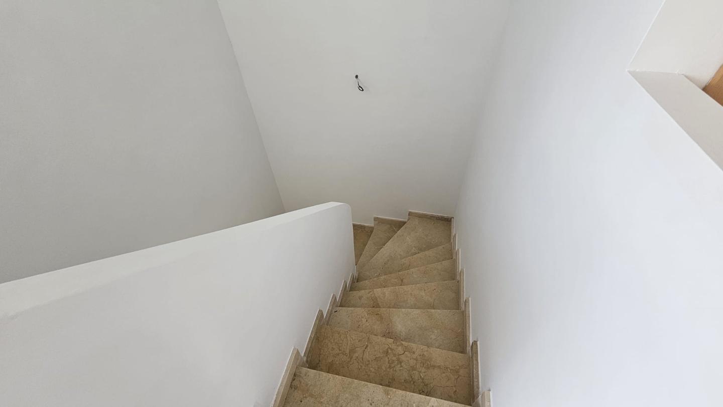 Galería 20