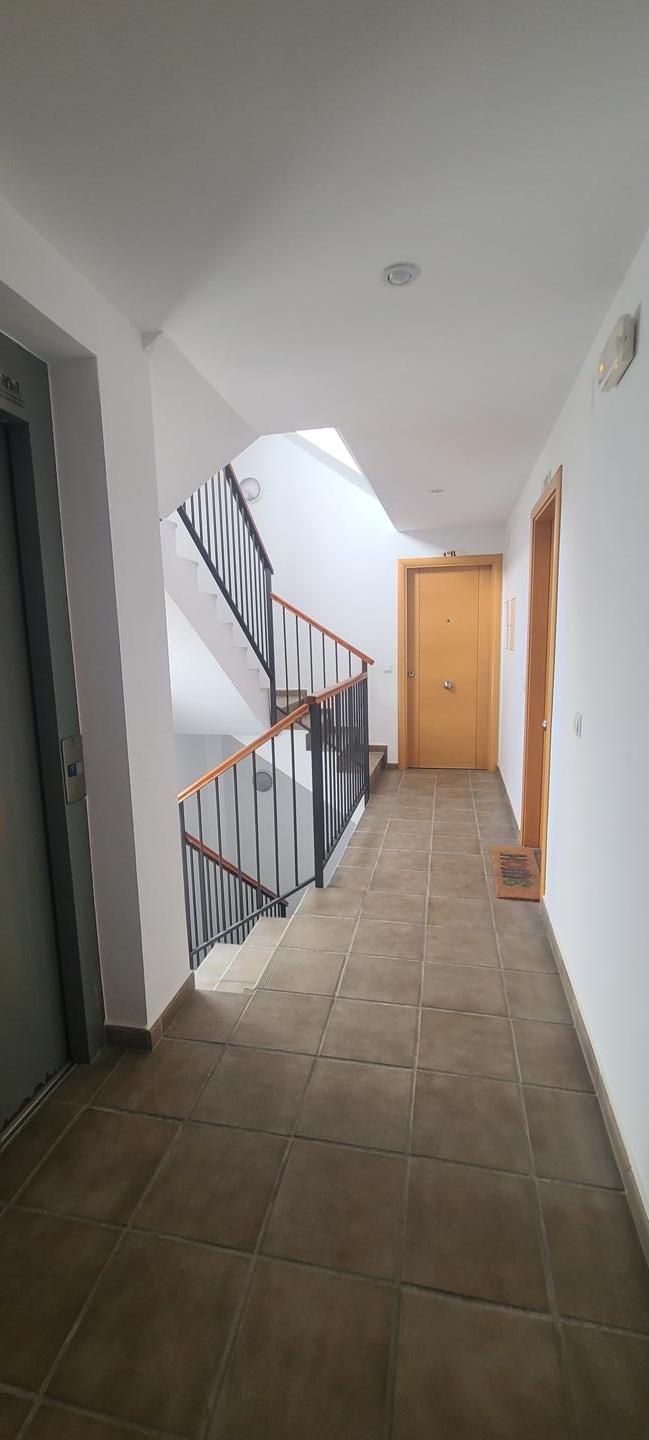 Galería 5