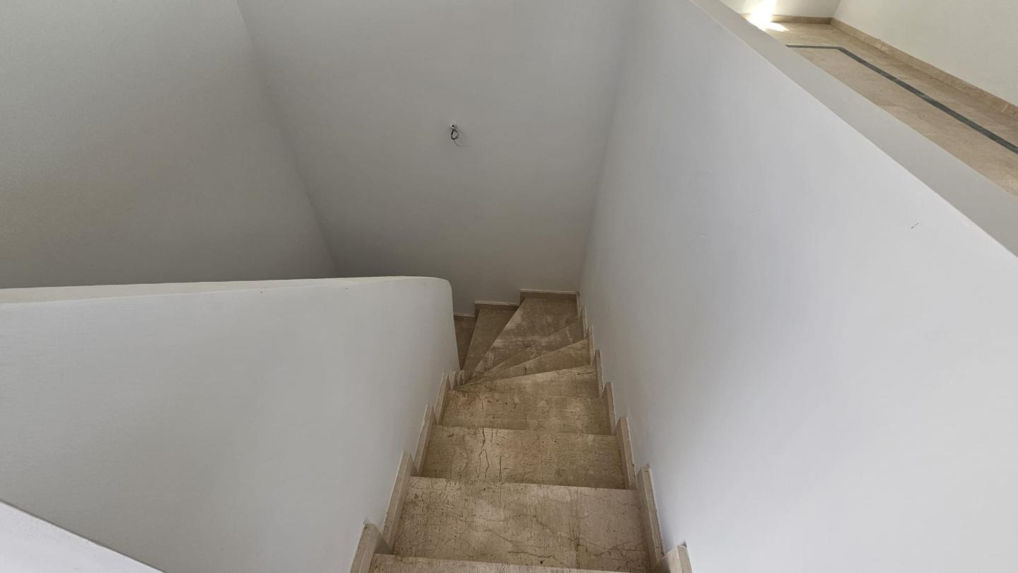 Galería 25